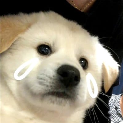 Bryanboy's profile avatar